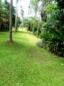 HiddenValley9-hole shortcourse