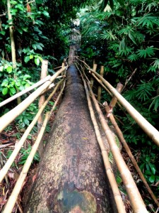 HiddenValleyAmlangBridge