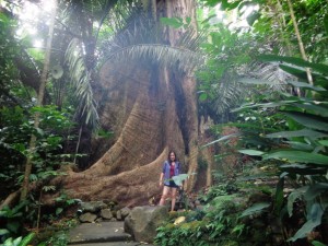 HiddenValleyCt Amlangroots